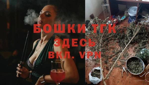 прущий лед Тында