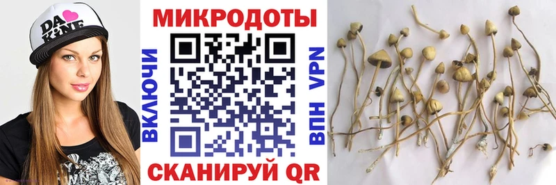 Псилоцибиновые грибы MAGIC MUSHROOMS  продажа наркотиков  Городище 